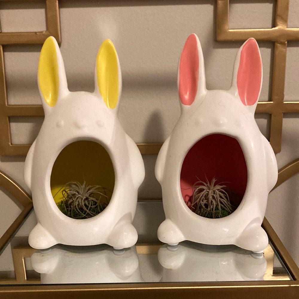 Bunny Shaped Air Plant Holders
